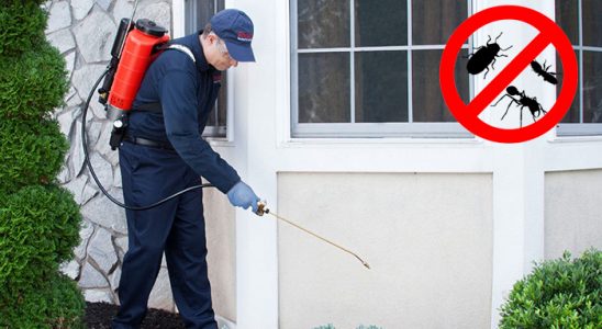 Eşrefpaşa Hamam Böceği İlaçlama böcek ilaçlama ve haşere kontrolü — ilaclama-tr.com